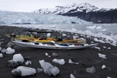Icy Bay