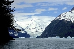 Icy Bay