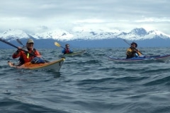 kayak-de-mer-alaska-prince-williams