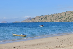 KOMODO-KAYAKING-BUDDY-ON-THE-BEACH