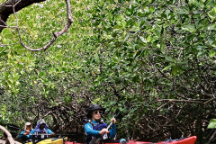 KOMODO-KAYAKING-MANGROVE-KAYAK-2