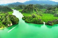 Mangrove-Kilim