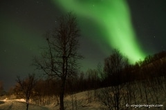 voyage-kayak-de-mer-norvege-hiver-15