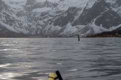 voyage-kayak-de-mer-norvege-hiver-226