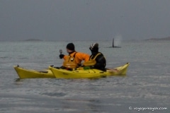 voyage-kayak-de-mer-norvege-hiver-228