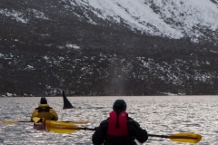 voyage-kayak-de-mer-norvege-hiver-241