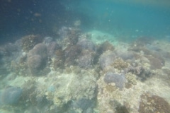 voyage-kayak-de-mer-Oman-60