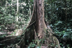 voyage-kayak-de-mer-Raja-Ampat-100