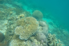 voyage-kayak-de-mer-Raja-Ampat-134