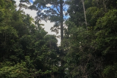 voyage-kayak-de-mer-Raja-Ampat-67