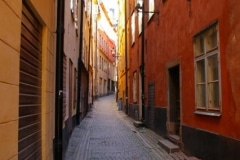 IMGP4037