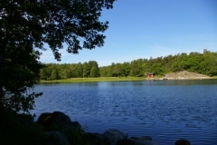 IMGP3910