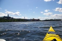 IMGP3960